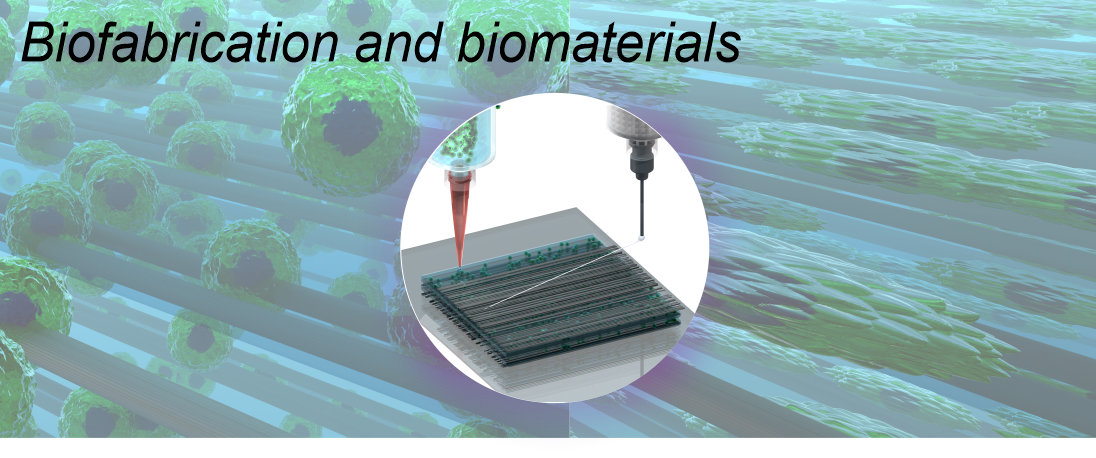 s11-biofab 2