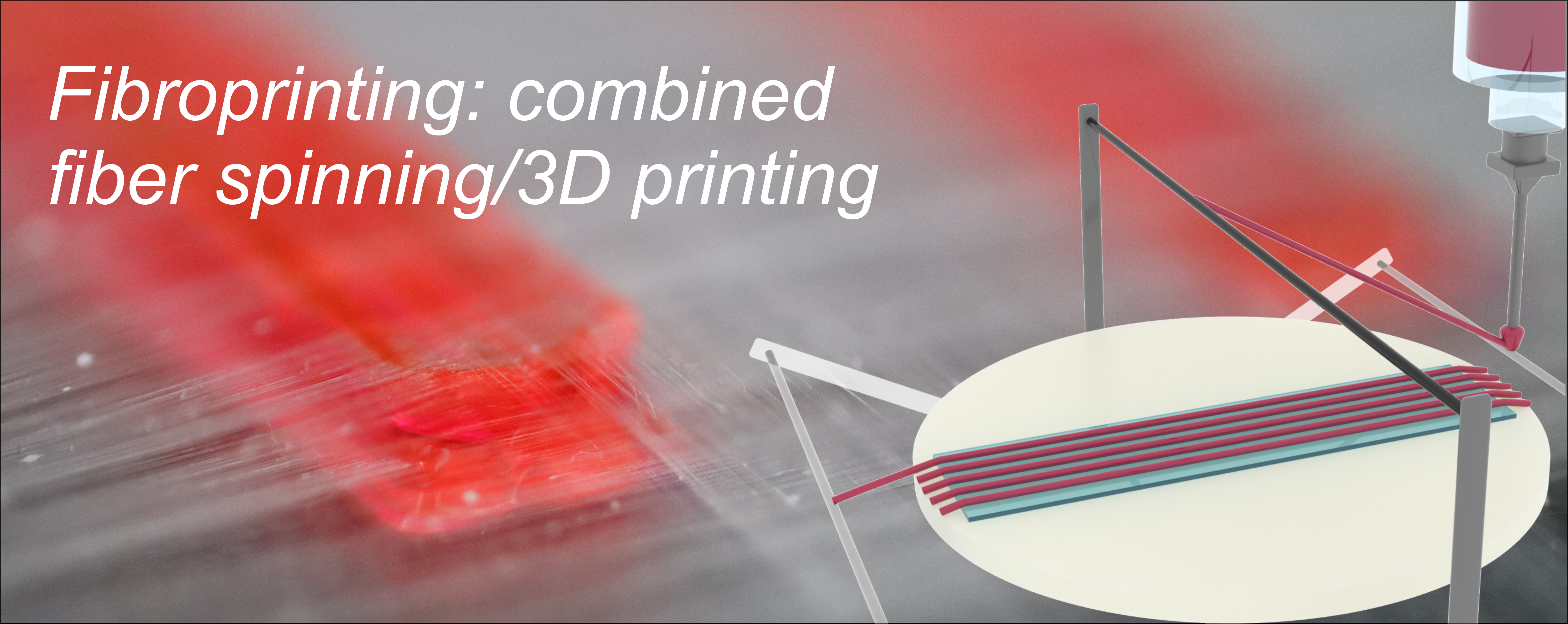s11_1-1fibroprinting