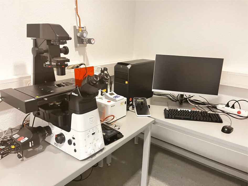 fluorescence microscope