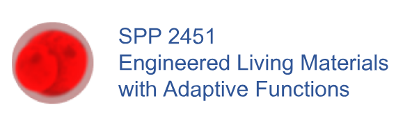 SPP2451