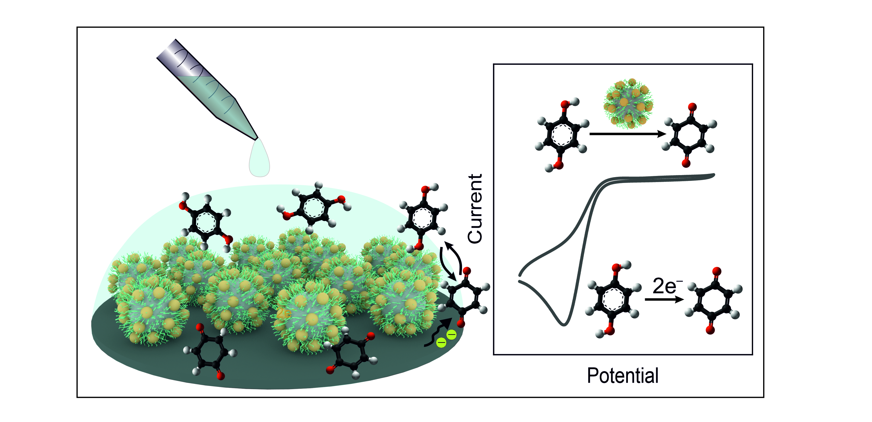 ToC biosensor