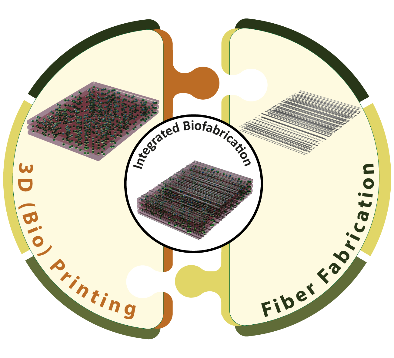 ToC fiber prnting review