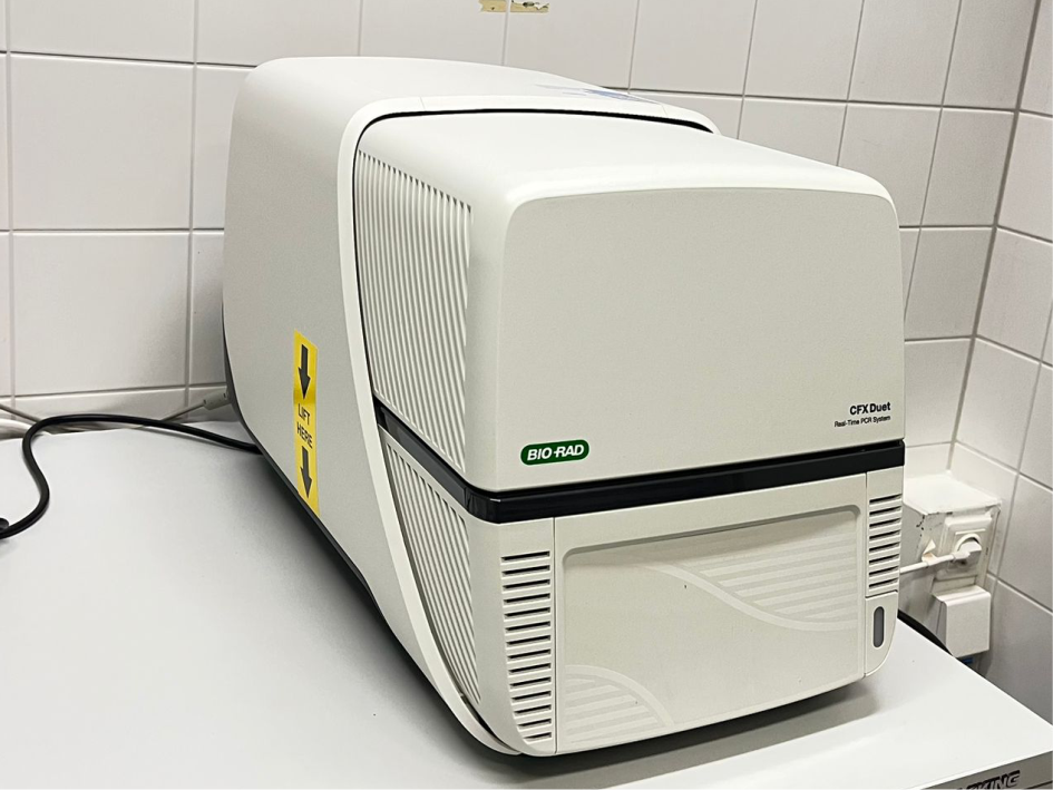 qPCR